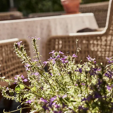 Der Brandstetterhof - Adults Only Отель Штанс